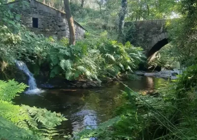PLENA NATURALEZA DE ACAMPADA CONVERSATIONAL ENGLISH GROUPS
