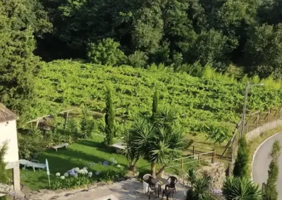 PISCINA Y PAISAJE NATURA DE CONVERSATIONAL ENGLISH GROUPS