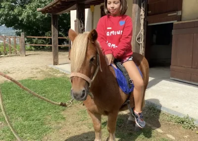 NIÑA EN PONI EN GRANJA EN LA NATURALEZA PORCONVERSATIONAL ENGLISH GROUPS